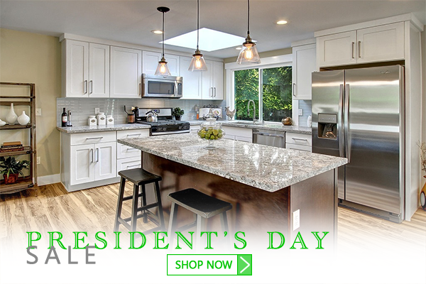 E-mail and Lead Image:  President's Day Sale 