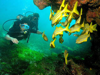 Buceo