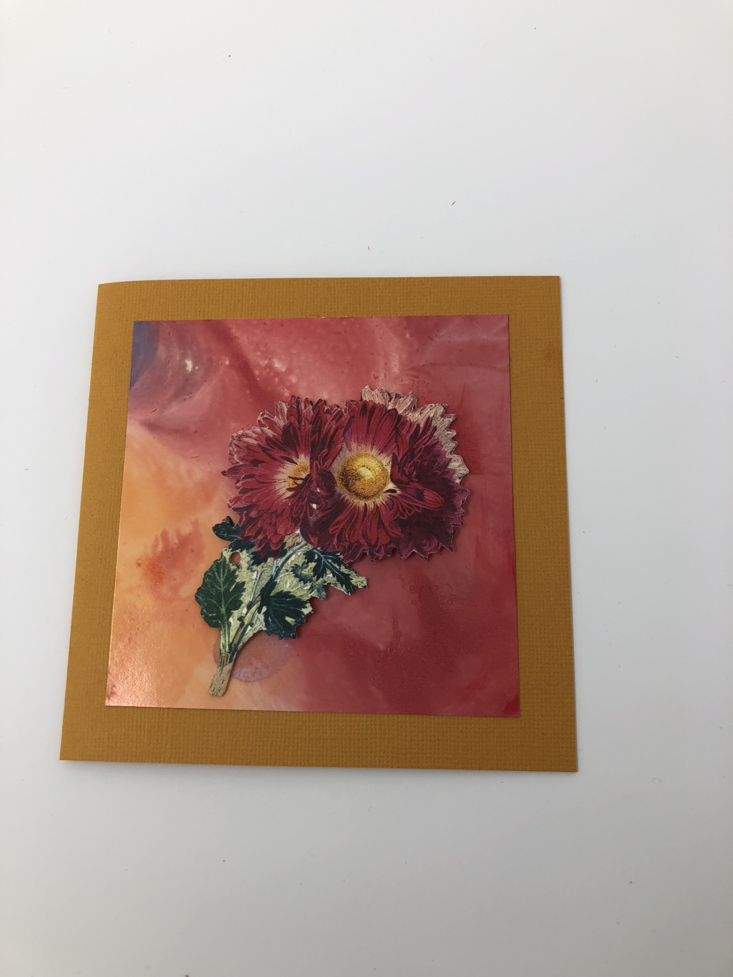 Bloom
