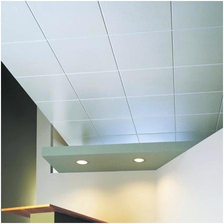 Types Of Acoustic Ceilings And How To