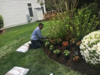 elite landscaping inc