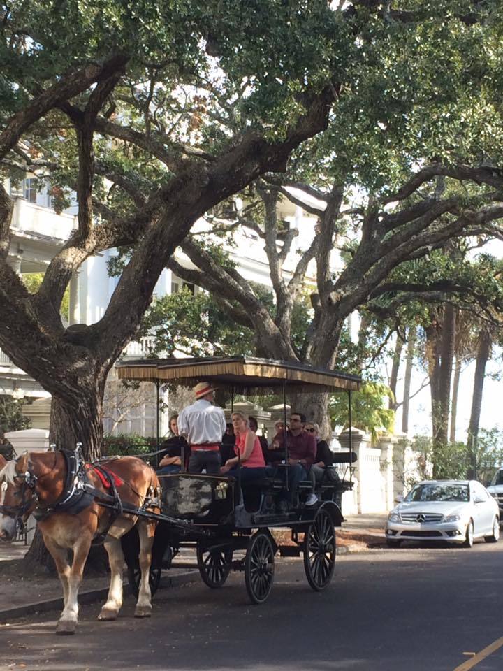 Carriage Tours