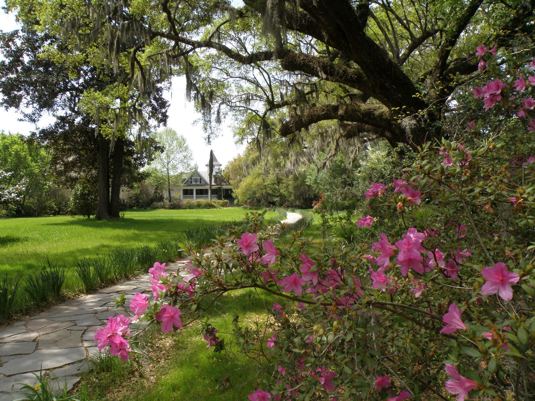 Magnolia Plantation and Gardens