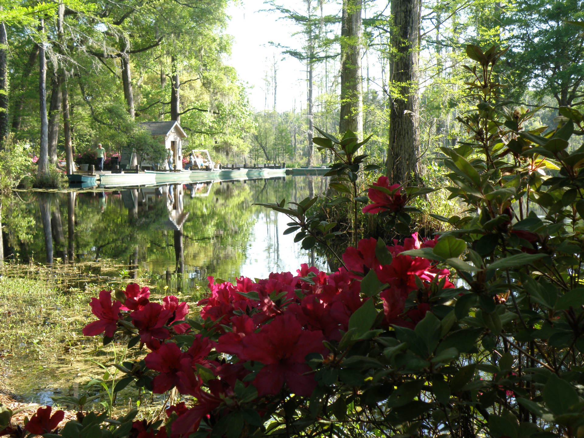 Cypress Gardens