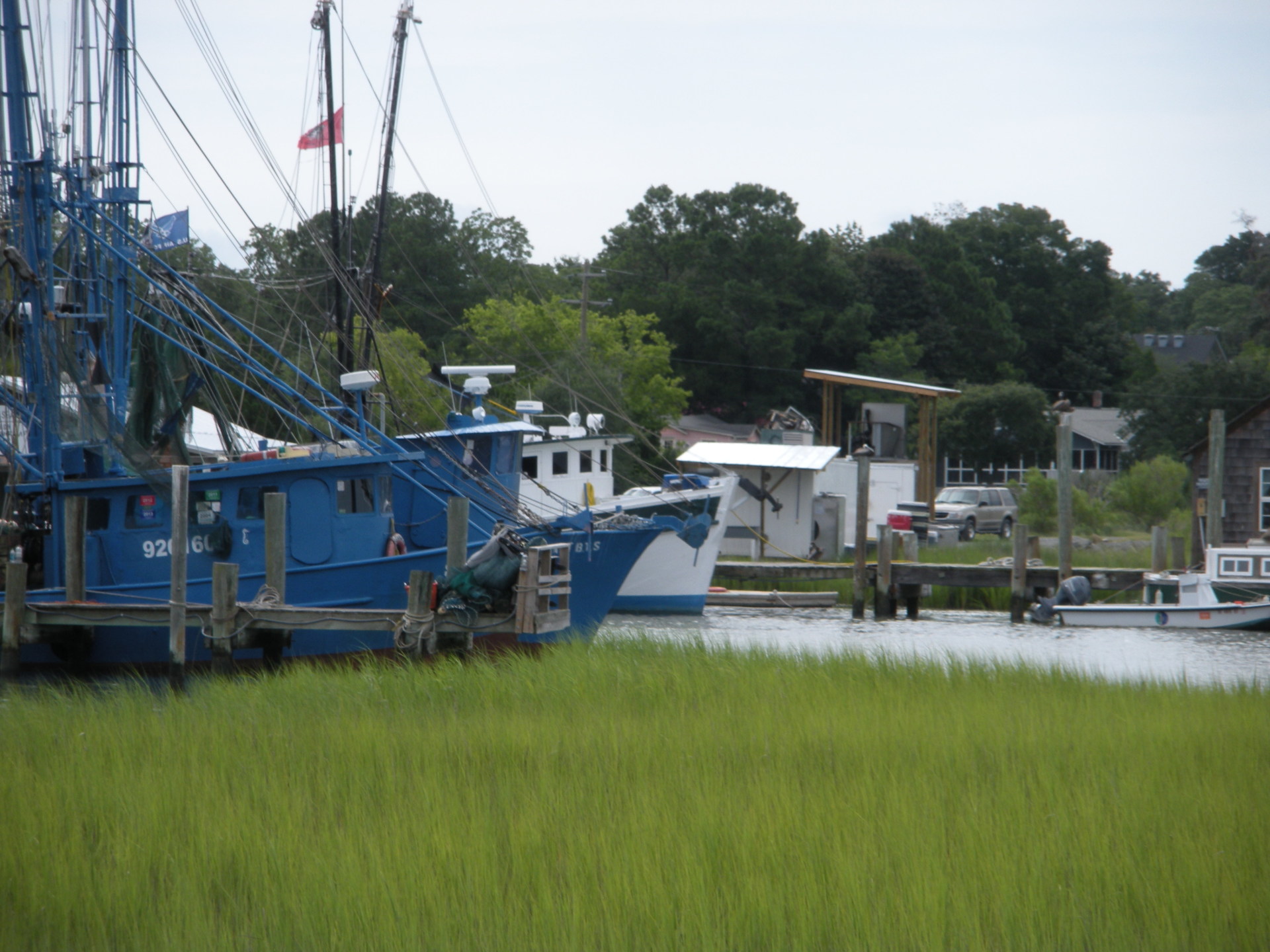 Shem Creek