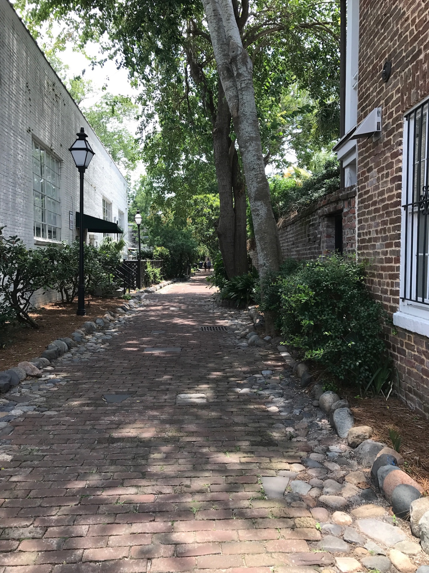 Charleston Alleyways 