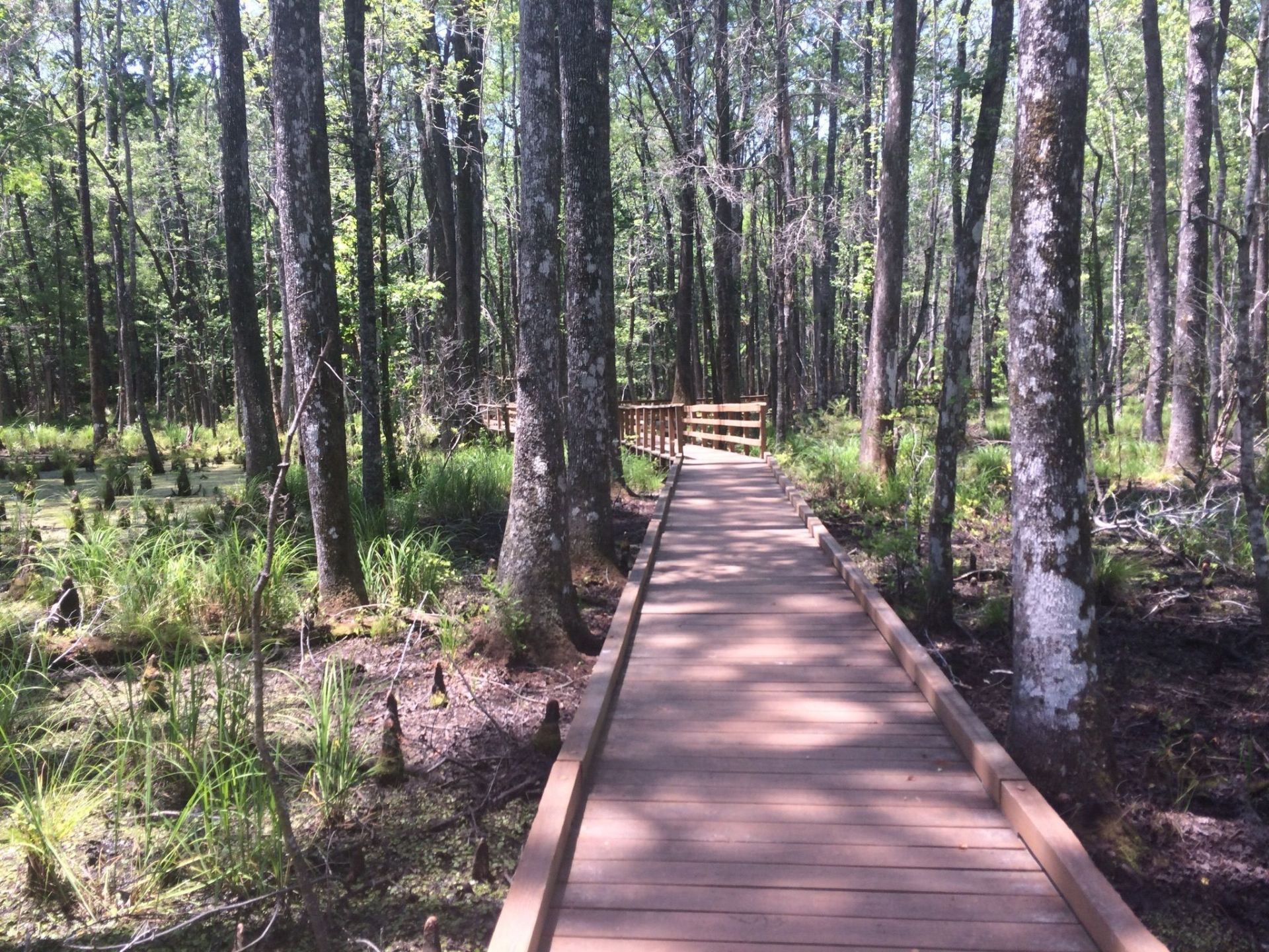 Caw Caw Interpretive Center