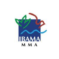 Managing Director