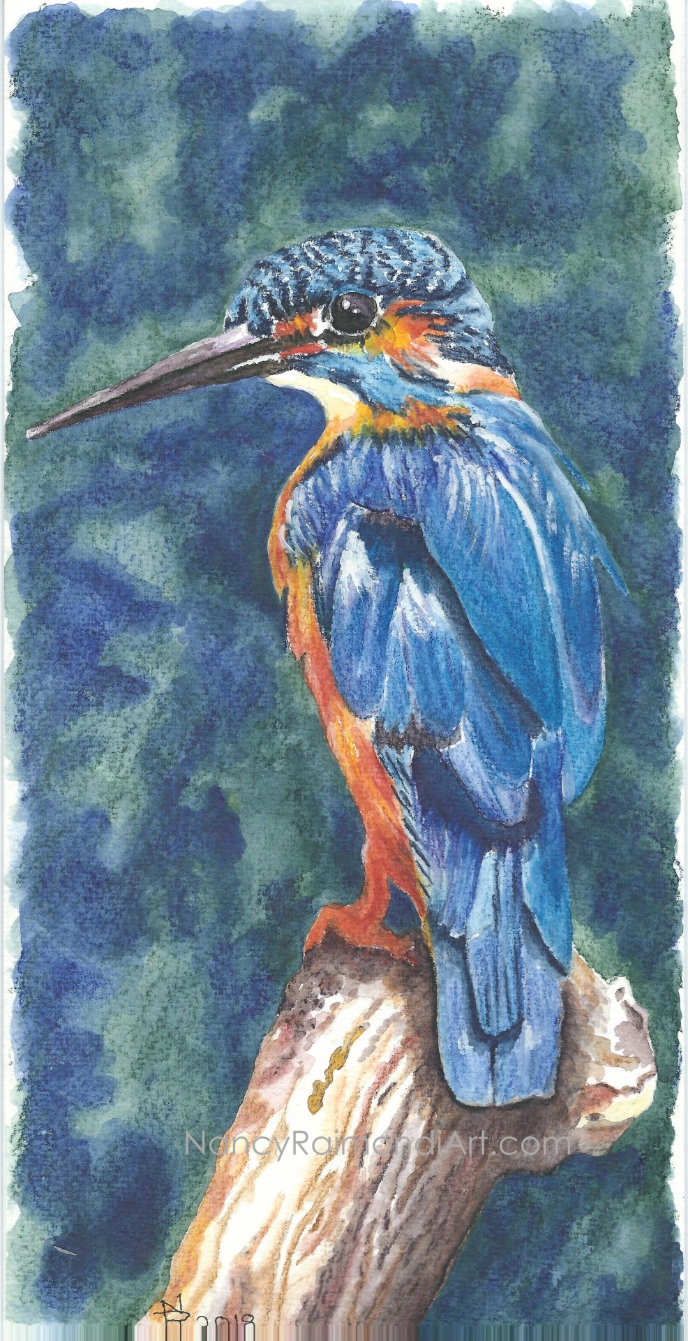 Kingfisher