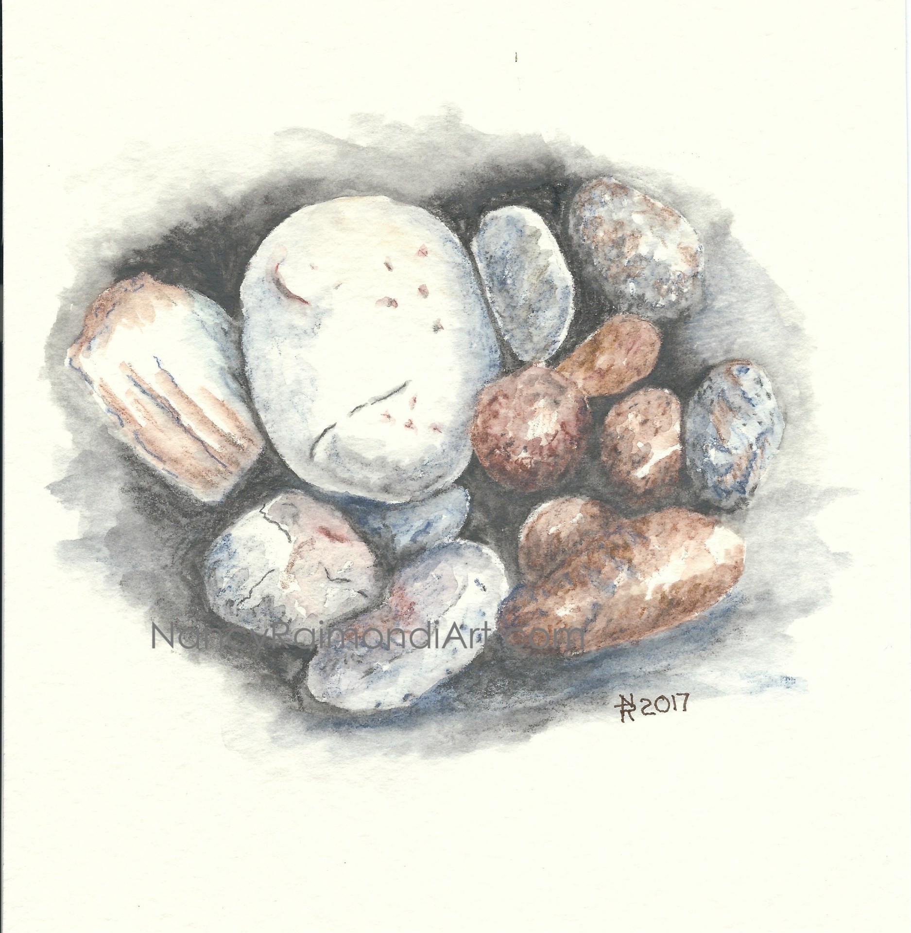 Pebble Study