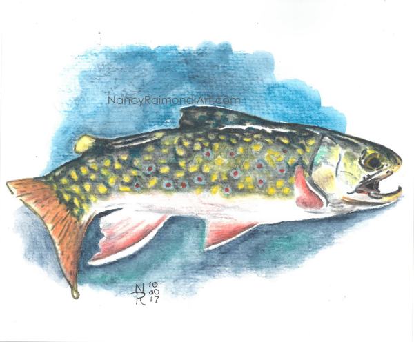 Brook Trout