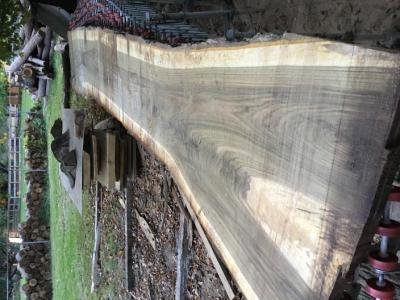 Live Edge Lumber