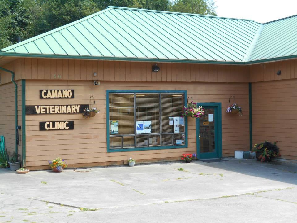 island vet clinic