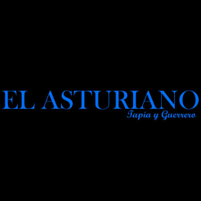 Diseño de sitio web, sitio web del asturiano, el asturiano, tienda el asturiano, almacenes el asturiano