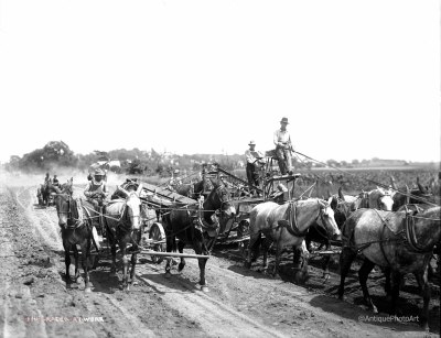 Iowa horse drawn road grader 1910