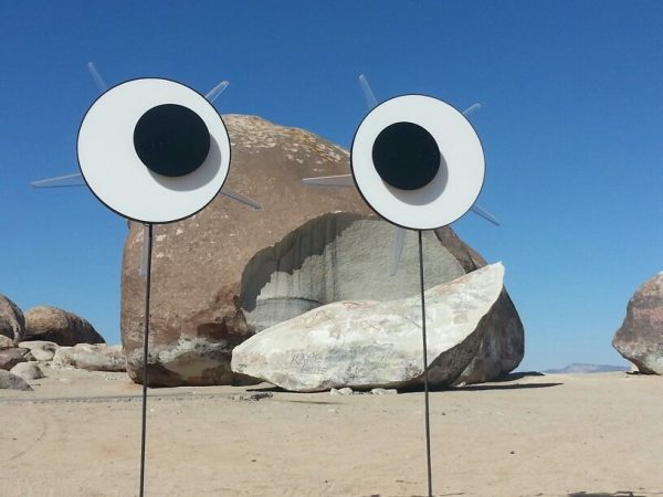 GOOGLY EYES for Giant Rock by Bettina Hubby