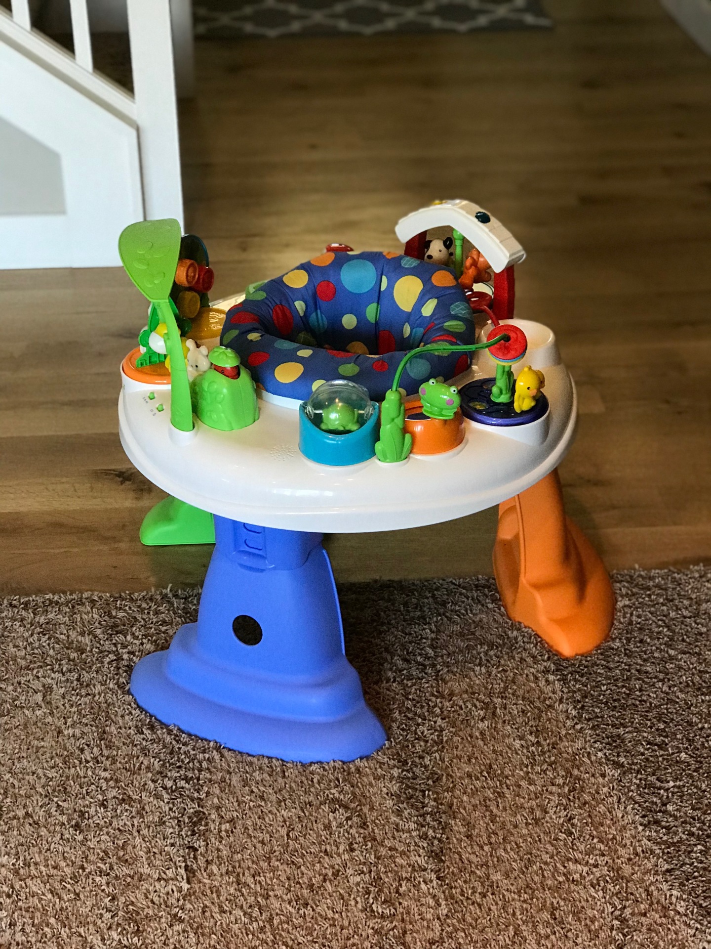 Fisher Price Entertainer