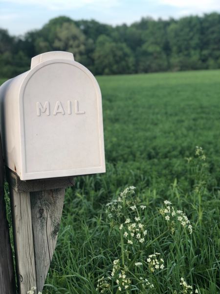 Close-up of a white mailbox that reads "Mail"