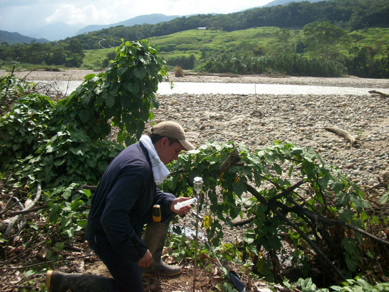 Sampling on the edge of a Jungle