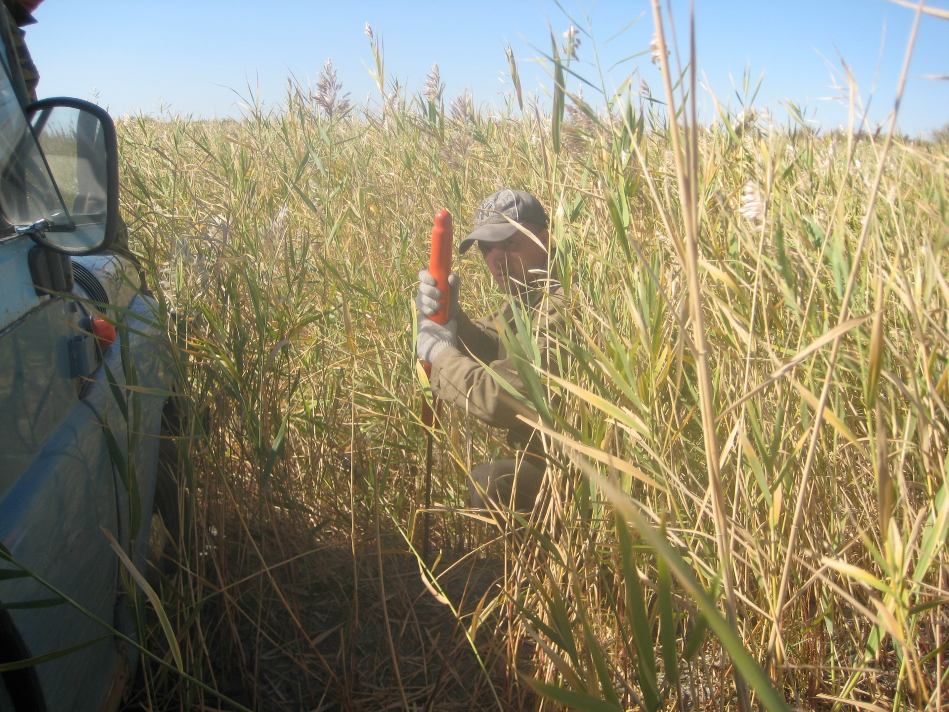 Hydrocarbon sampling for oil vs. gas potential