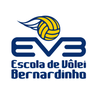 Escolinha De Vôlei: Confira Dicas Para Iniciantes