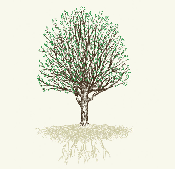 Product Lifecycle Management