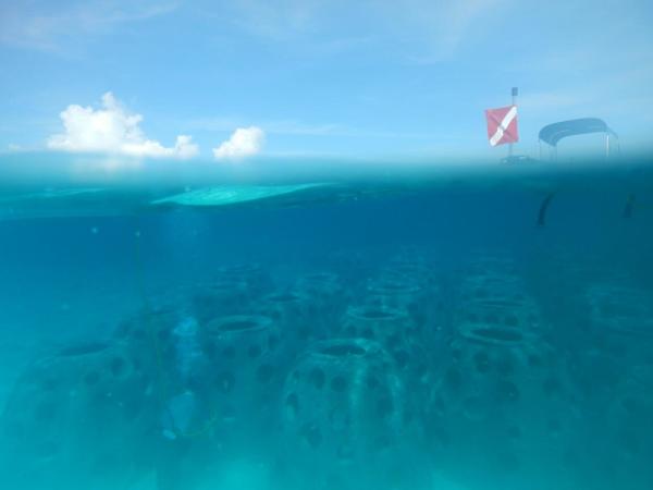 Surface View of Submerged Breakwater