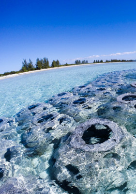 Paradise Cove Deadman's Reef, near Freeport on Grand Bahamas