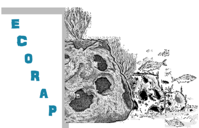 EcoRap & Reef Ball Living Shorelines