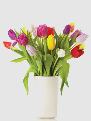 Tulipanes Mixto