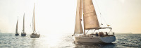 sailboat in miami