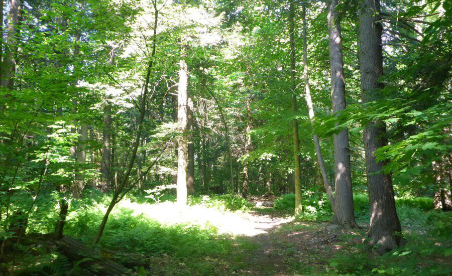 Chautauqua County Hiking Club.jpeg