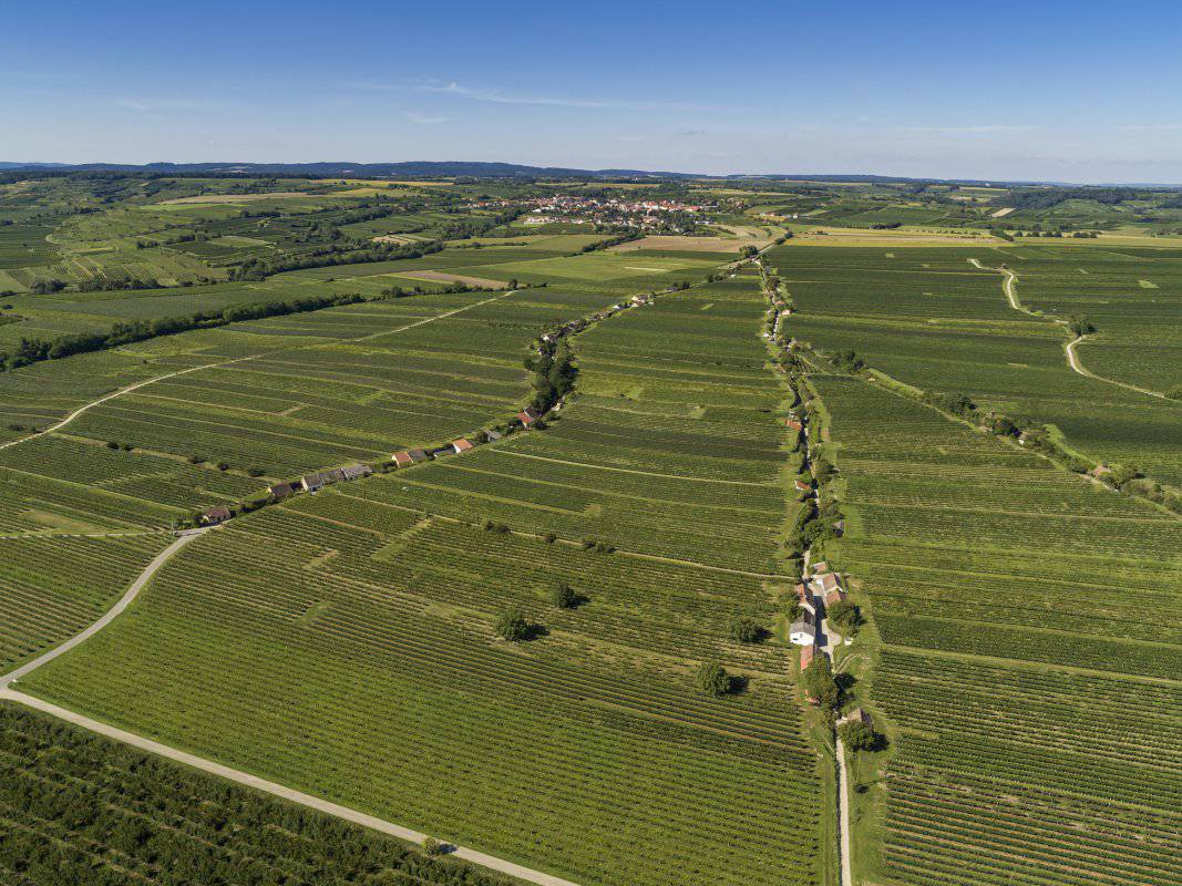 Ried Mitterweg