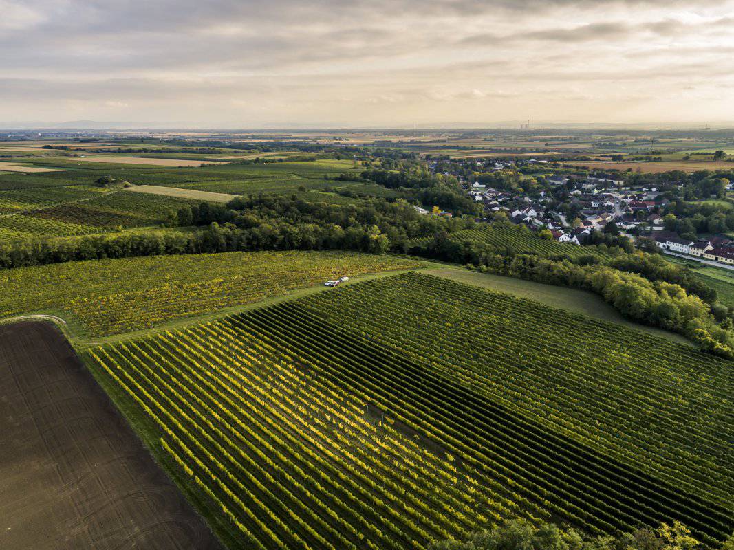 Ried Schlossberg / Oberstockstall