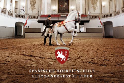 SRS_BEST OF VIENNA Audioguide Citymap_Online_202405_01_1.jpg