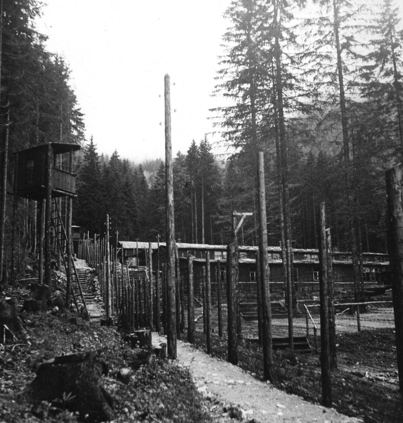 Baracken des aufgelassenen KZ-Loibl Nord in Blickrichtung Tunnelportal