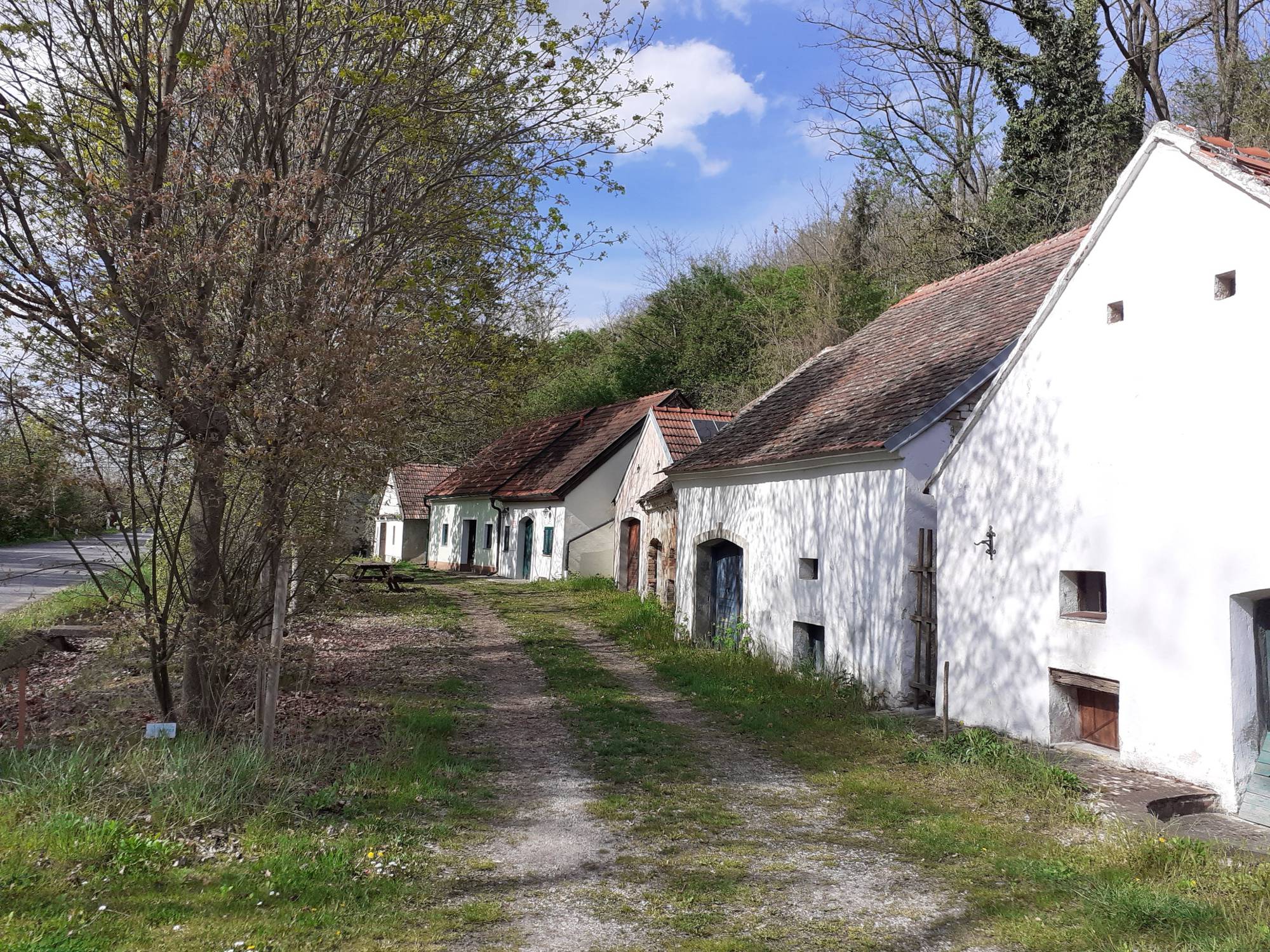 Kellergasse Absdorf