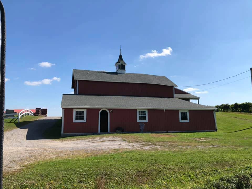 randall-standish vineyards.jpg