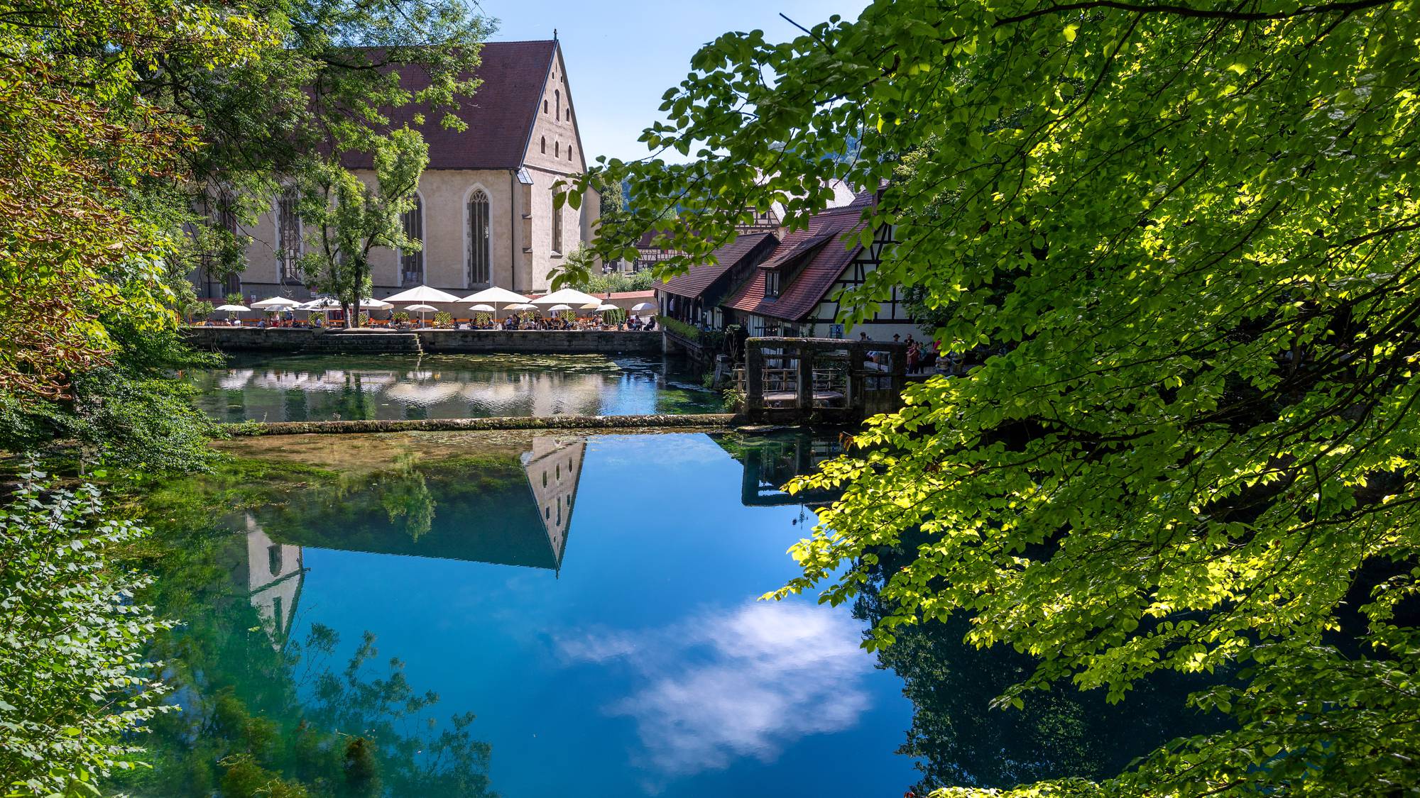 Blick über den Blautopf