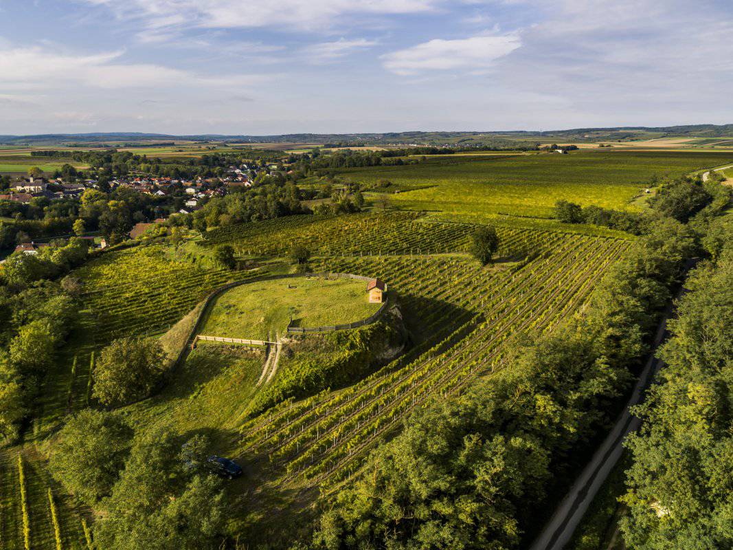 Ried Schlossberg / Mitterstockstall