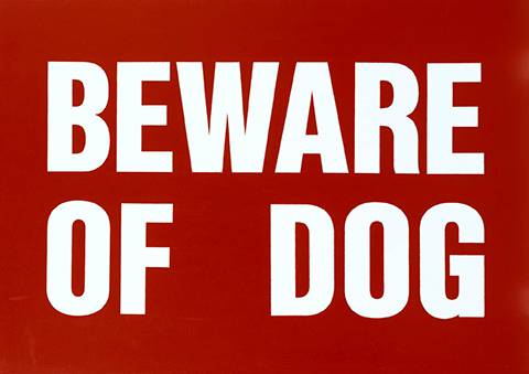 Bild in rot mit der Aufschrift "Beware of Dog" Sarah Morris (geb. 1967): Beware of Dog, 1993