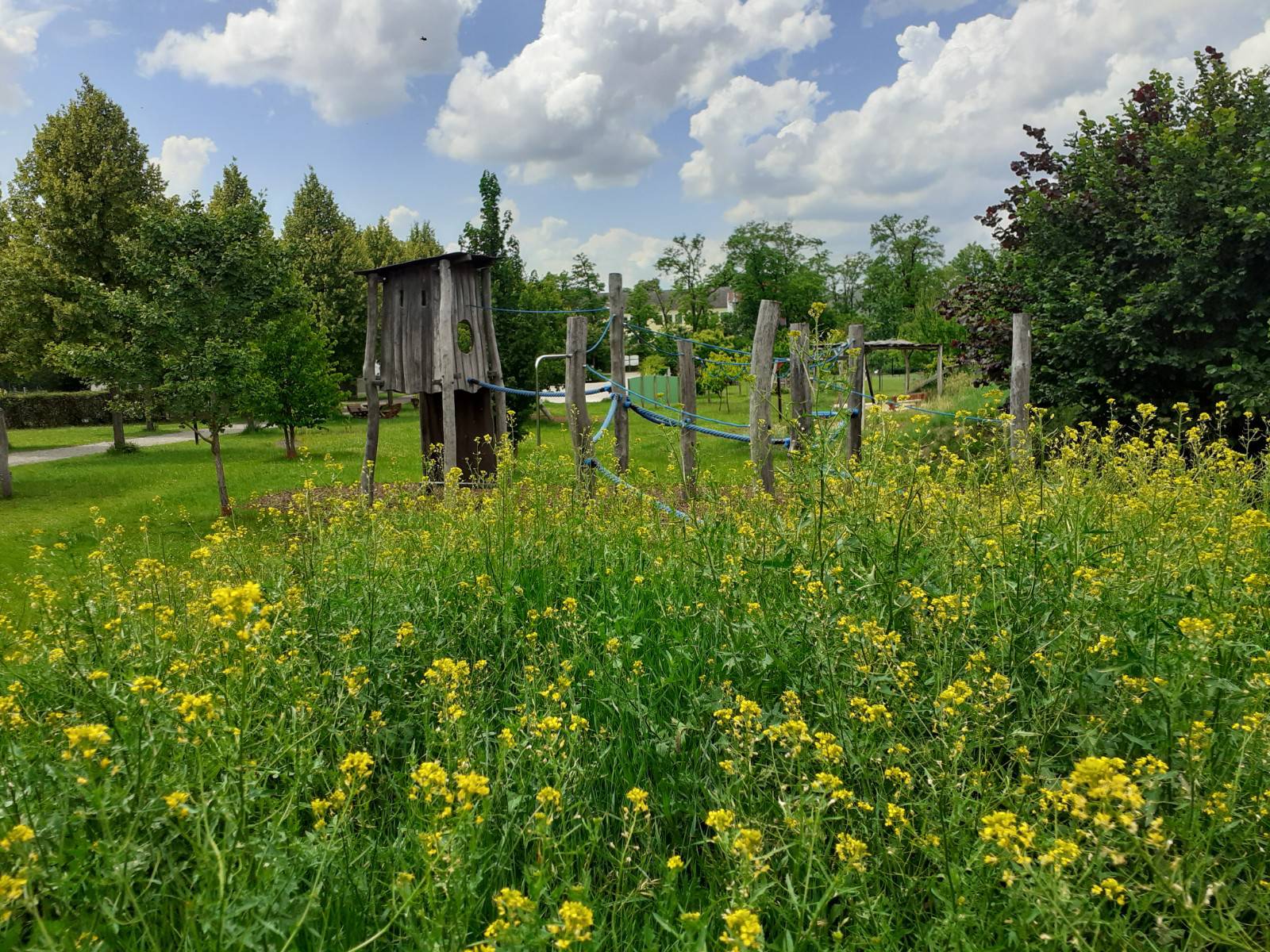 Alchemisten Park Kirchberg