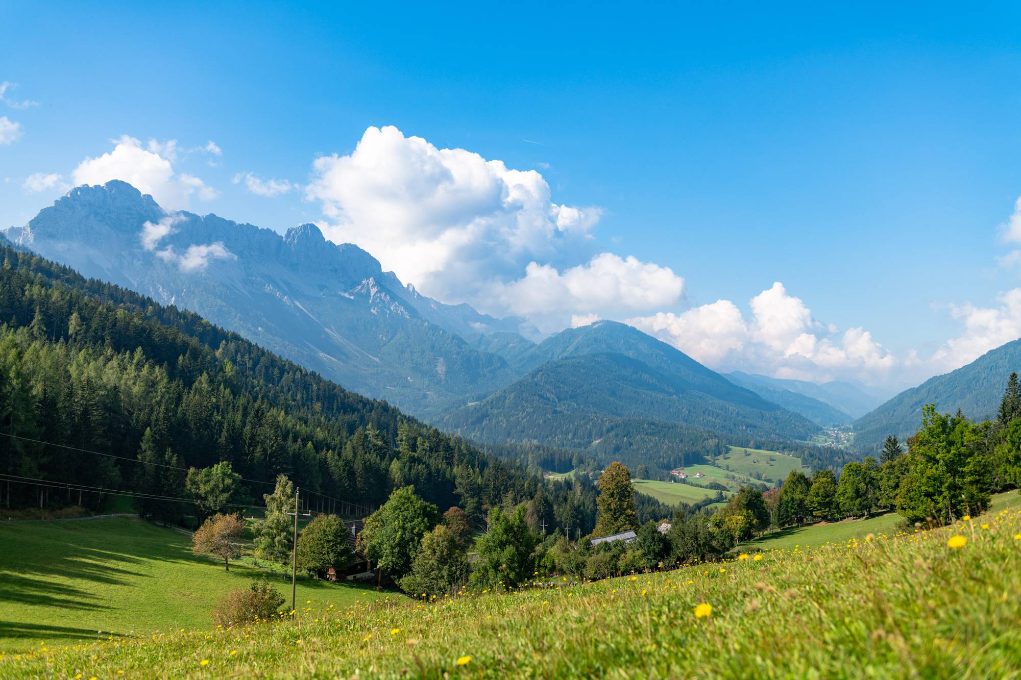 Almenwanderung Koschuta (c) Franz Gerdl.jpg