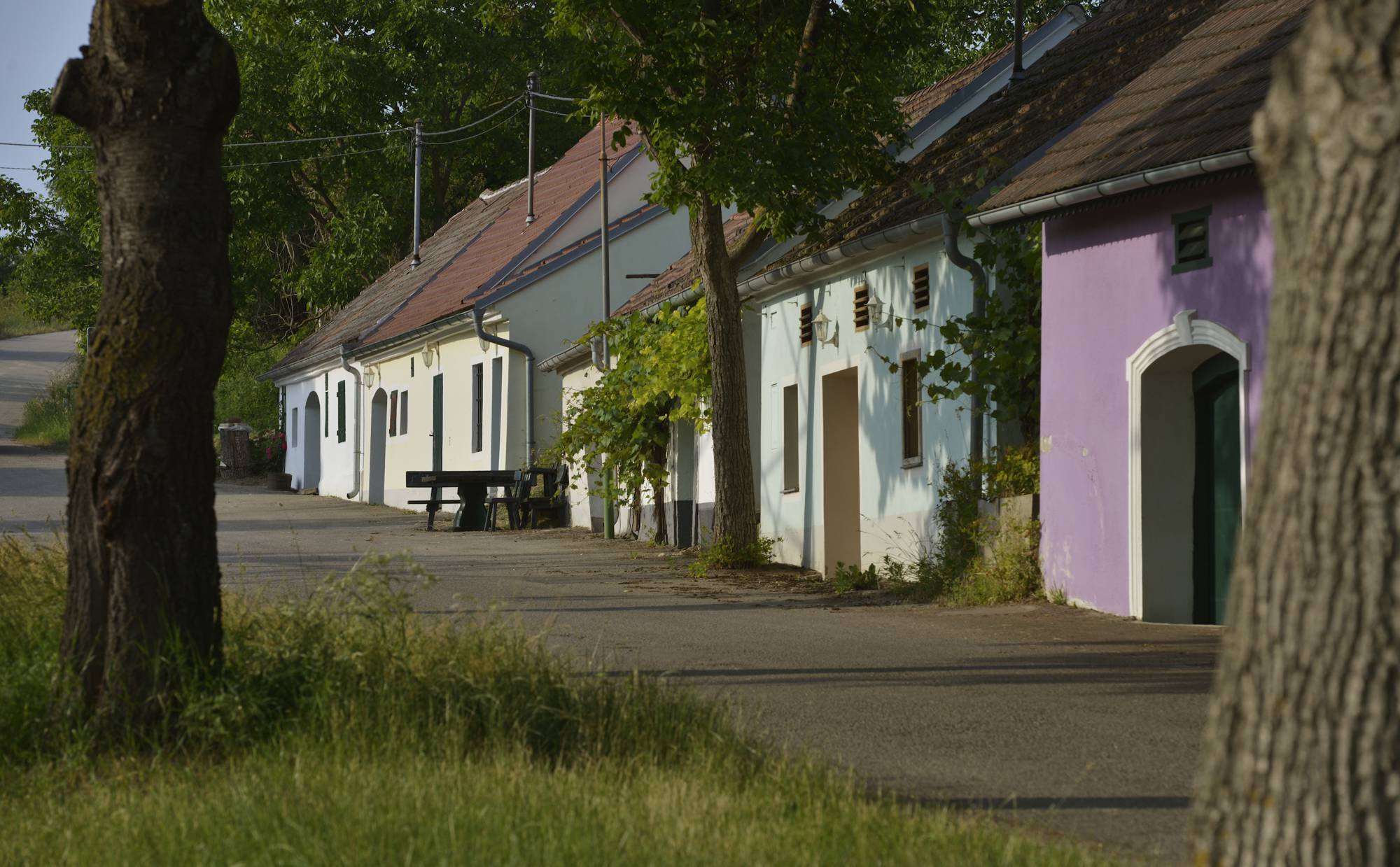 Kellergasse Ottenthal