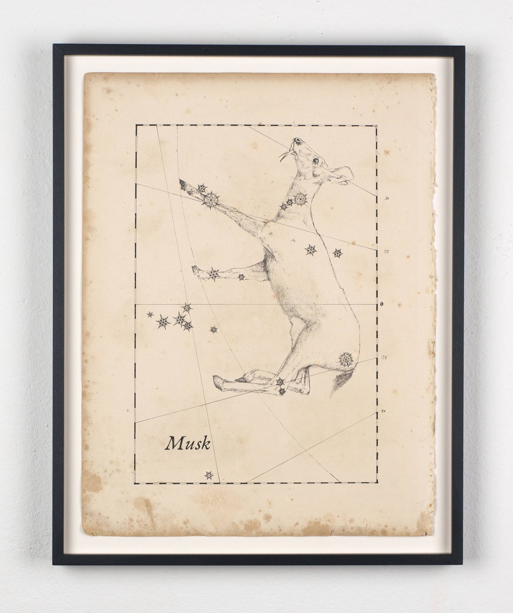Musk, 2021 Filzstift auf historischem Papier, 34 x 26 cm