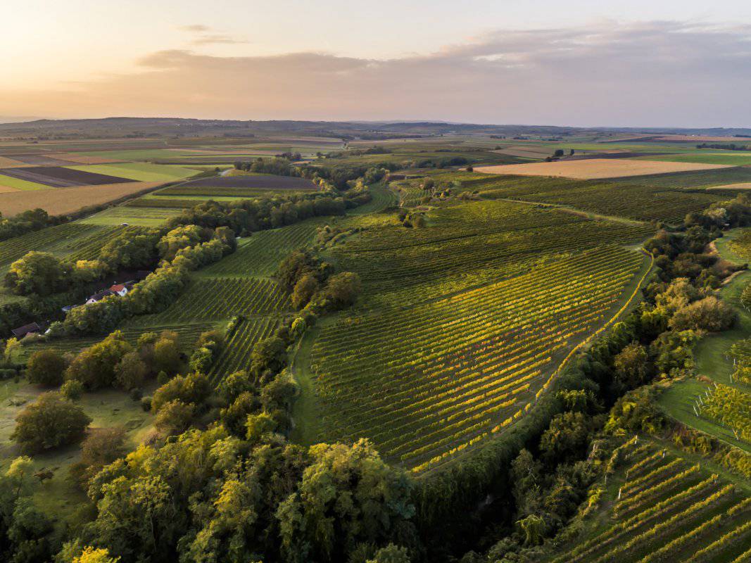 Ried Hochrain / Engelmannsbrunn