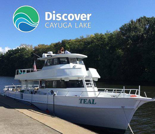 discover cayuga.jpeg