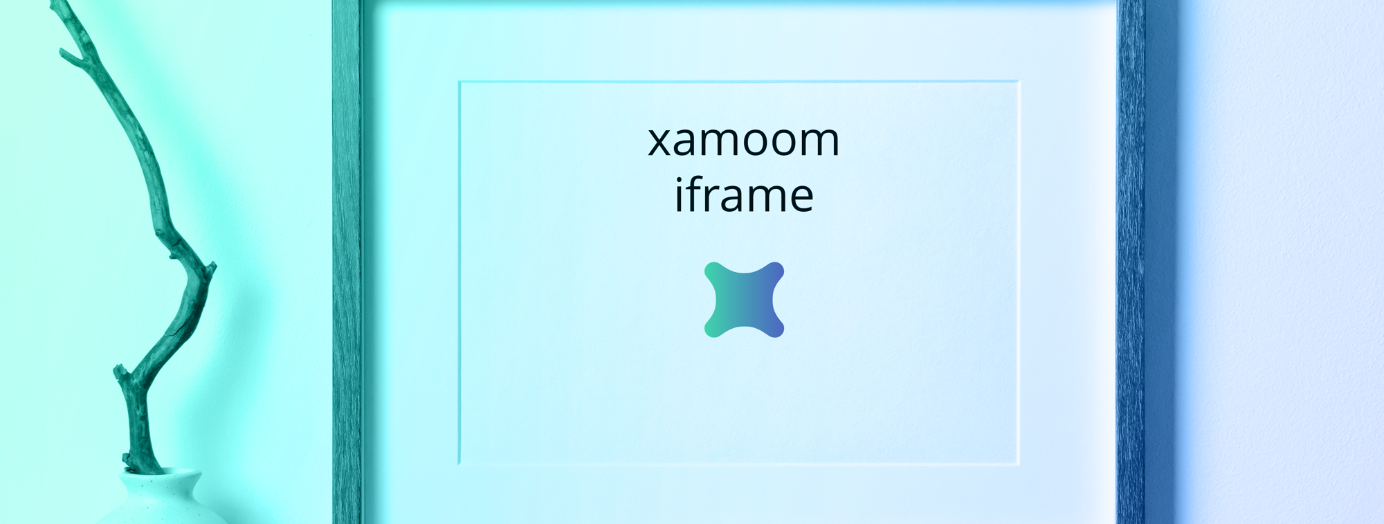 xamoom iframe.png