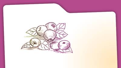 km xm 720 x 405 px -- 74.jpg