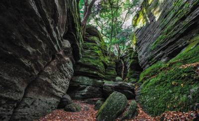 Panama-Rocks_Cannonball-Medium-Range-1024x683.jpeg